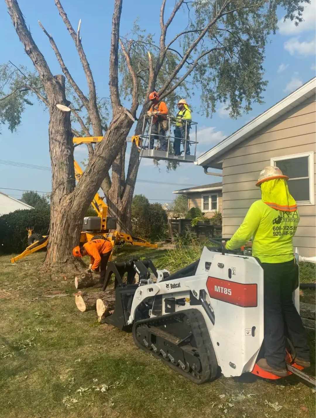 Tree Removal Property, Property Services, Construction Services, Property Management, Business Services, Skid Loader Work